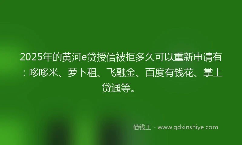 2025年的黄河e贷授信被拒多久可以重新申请有：哆哆米、萝卜租、飞融金、百度有钱花、掌上贷通等。