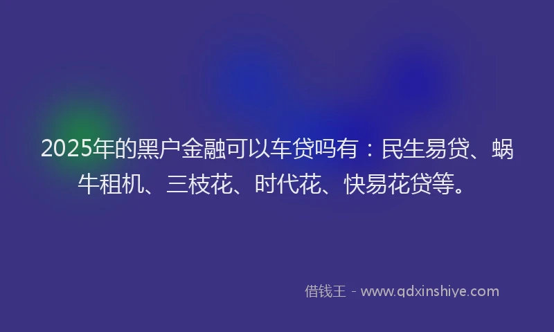 2025年的黑户金融可以车贷吗有：民生易贷、蜗牛租机、三枝花、时代花、快易花贷等。