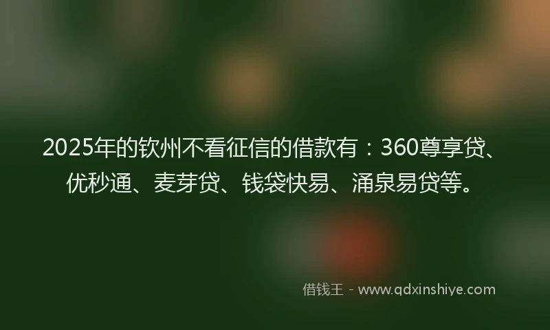 2025年的钦州不看征信的借款有：360尊享贷、优秒通、麦芽贷、钱袋快易、涌泉易贷等。