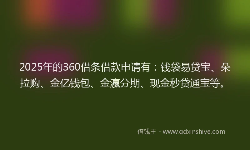 2025年的360借条借款申请有：钱袋易贷宝、朵拉购、金亿钱包、金瀛分期、现金秒贷通宝等。