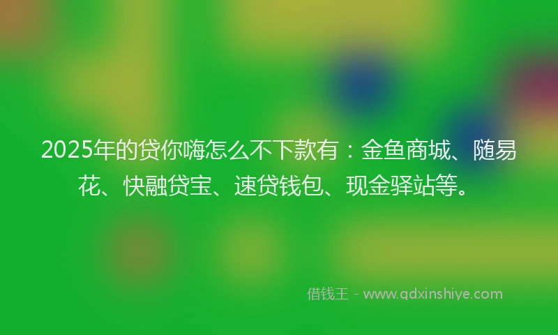 2025年的贷你嗨怎么不下款有：金鱼商城、随易花、快融贷宝、速贷钱包、现金驿站等。