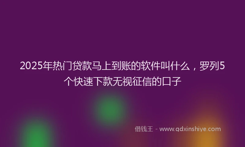 2025年热门贷款马上到账的软件叫什么，罗列5个快速下款无视征信的口子