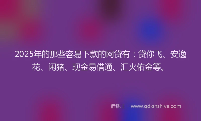 2025年的那些容易下款的网贷有：贷你飞、安逸花、闲猪、现金易借通、汇火佑金等。