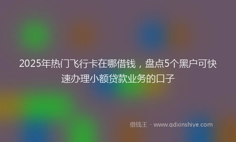 2025年热门飞行卡在哪借钱，盘点5个黑户可快速办理小额贷款业务的口子