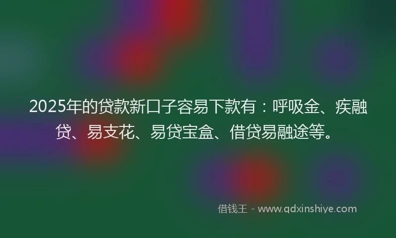 2025年的贷款新口子容易下款有：呼吸金、疾融贷、易支花、易贷宝盒、借贷易融途等。