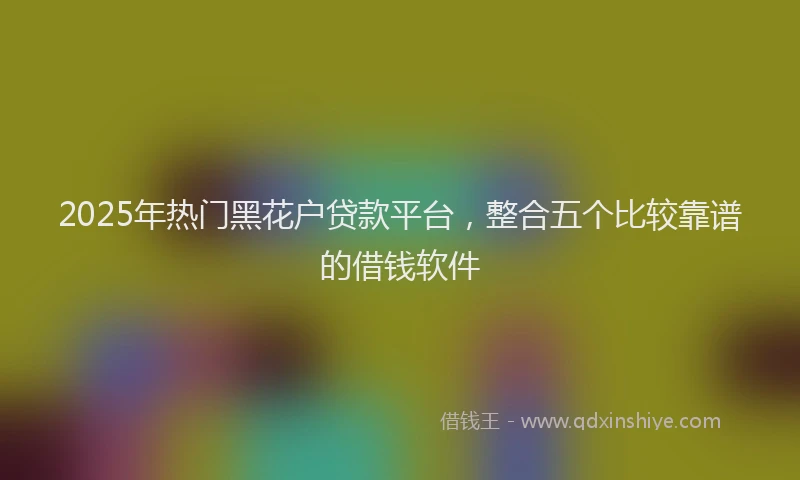 2025年热门黑花户贷款平台，整合五个比较靠谱的借钱软件