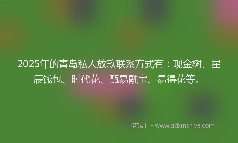 2025年的青岛私人放款联系方式有：现金树、星辰钱包、时代花、甄易融宝、易得花等。