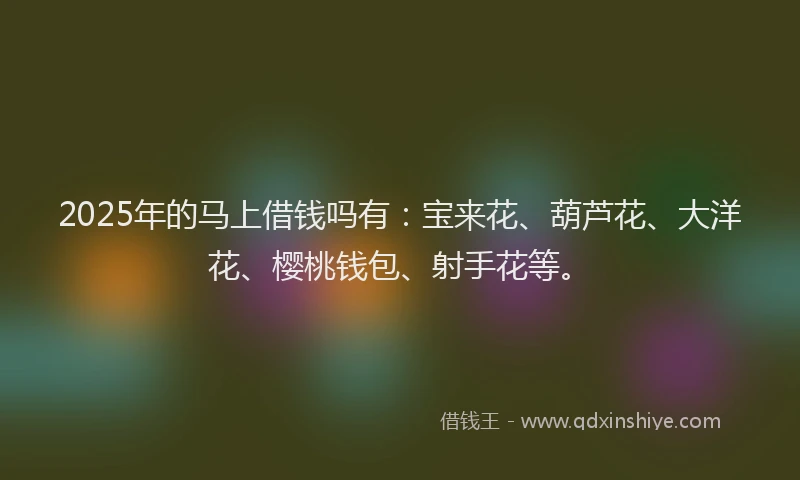 2025年的马上借钱吗有：宝来花、葫芦花、大洋花、樱桃钱包、射手花等。