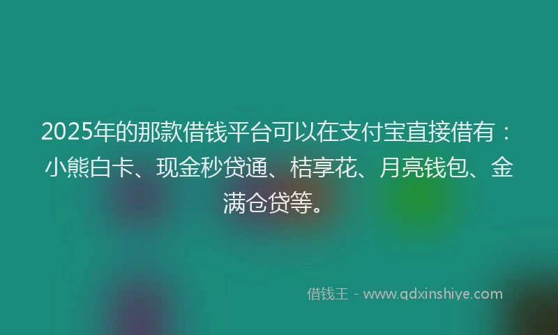 2025年的那款借钱平台可以在支付宝直接借有：小熊白卡、现金秒贷通、桔享花、月亮钱包、金满仓贷等。