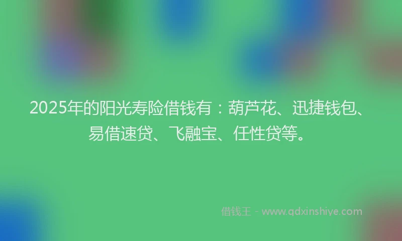 2025年的阳光寿险借钱有：葫芦花、迅捷钱包、易借速贷、飞融宝、任性贷等。