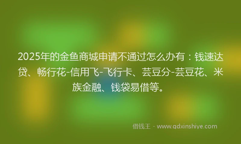 2025年的金鱼商城申请不通过怎么办有：钱速达贷、畅行花-信用飞-飞行卡、芸豆分-芸豆花、米族金融、钱袋易借等。