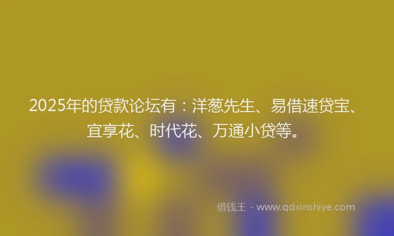 2025年的贷款论坛有：洋葱先生、易借速贷宝、宜享花、时代花、万通小贷等。