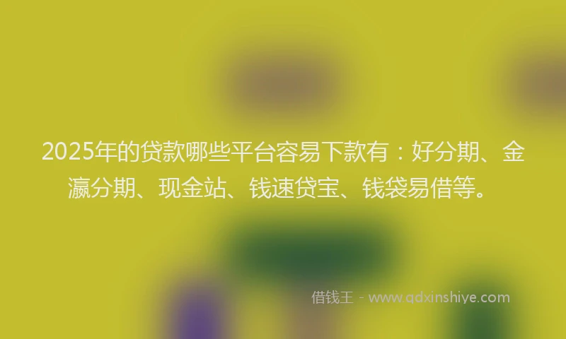 2025年的贷款哪些平台容易下款有：好分期、金瀛分期、现金站、钱速贷宝、钱袋易借等。