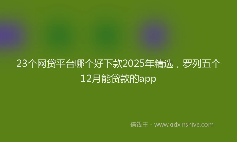 23个网贷平台哪个好下款2025年精选，罗列五个12月能贷款的app