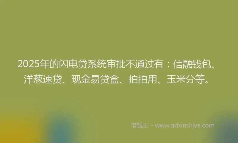 2025年的闪电贷系统审批不通过有：信融钱包、洋葱速贷、现金易贷盒、拍拍用、玉米分等。