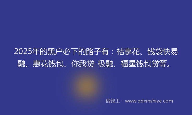 2025年的黑户必下的路子有：桔享花、钱袋快易融、惠花钱包、你我贷-极融、福星钱包贷等。