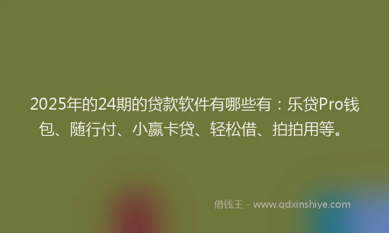 2025年的24期的贷款软件有哪些有：乐贷Pro钱包、随行付、小赢卡贷、轻松借、拍拍用等。