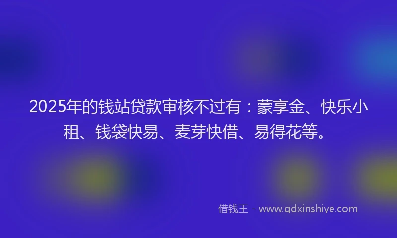2025年的钱站贷款审核不过有：蒙享金、快乐小租、钱袋快易、麦芽快借、易得花等。