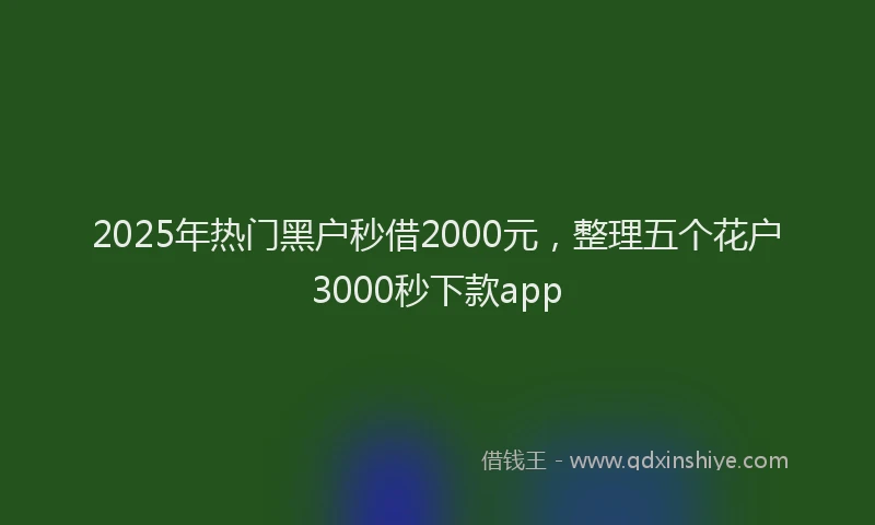 2025年热门黑户秒借2000元，整理五个花户3000秒下款app