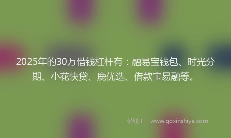 2025年的30万借钱杠杆有：融易宝钱包、时光分期、小花快贷、鹿优选、借款宝易融等。
