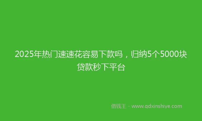 2025年热门速速花容易下款吗，归纳5个5000块贷款秒下平台