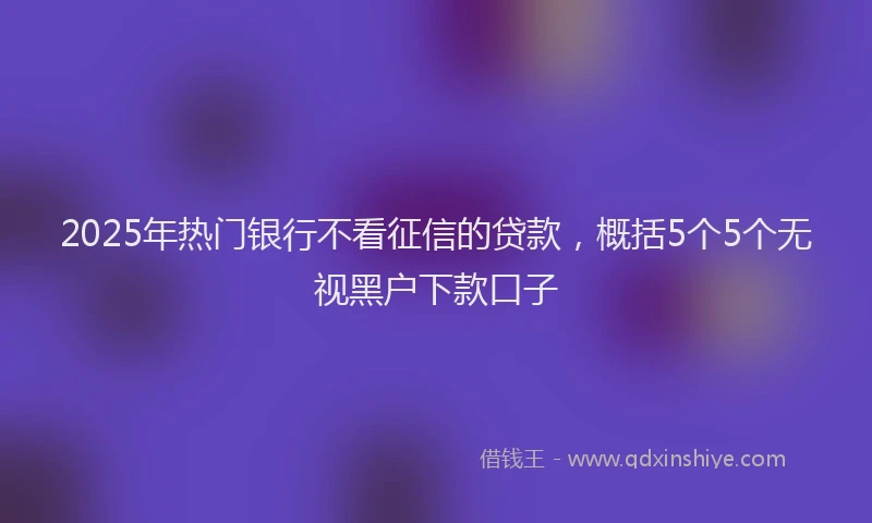 2025年热门银行不看征信的贷款，概括5个5个无视黑户下款口子