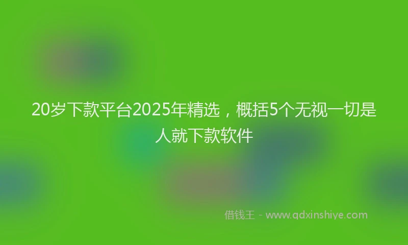 20岁下款平台2025年精选，概括5个无视一切是人就下款软件