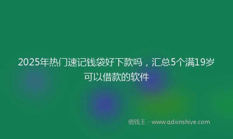 2025年热门速记钱袋好下款吗，汇总5个满19岁可以借款的软件