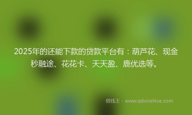 2025年的还能下款的贷款平台有：葫芦花、现金秒融途、花花卡、天天盈、鹿优选等。