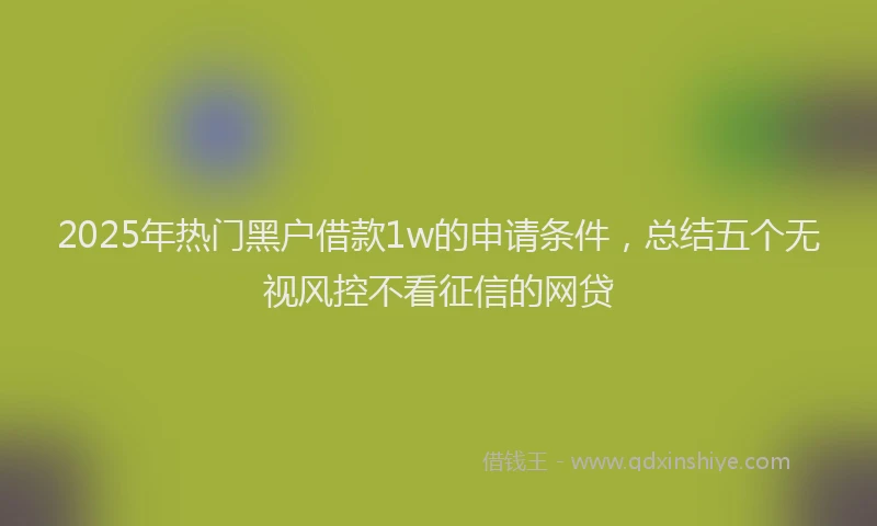 2025年热门黑户借款1w的申请条件，总结五个无视风控不看征信的网贷