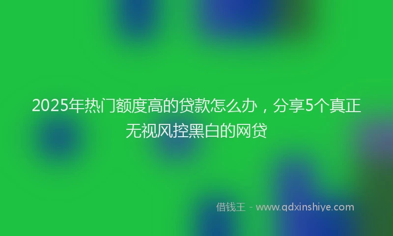 2025年热门额度高的贷款怎么办，分享5个真正无视风控黑白的网贷
