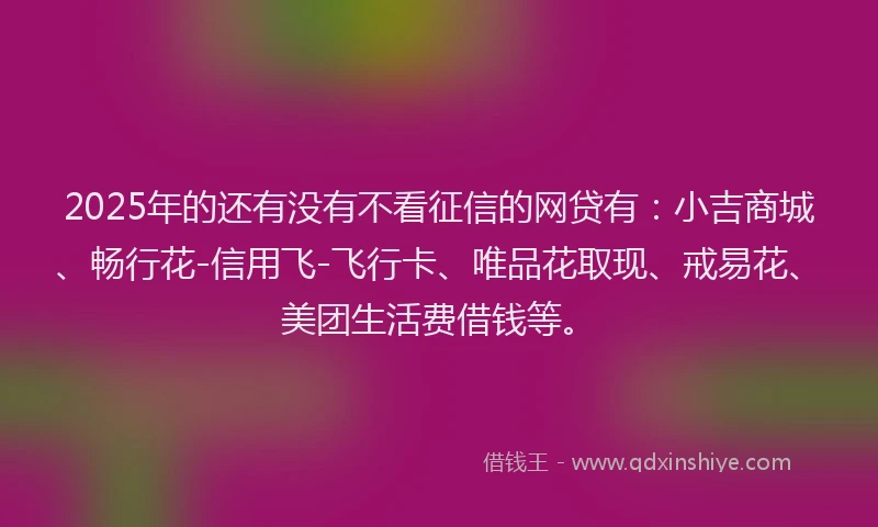 2025年的还有没有不看征信的网贷有：小吉商城、畅行花-信用飞-飞行卡、唯品花取现、戒易花、美团生活费借钱等。
