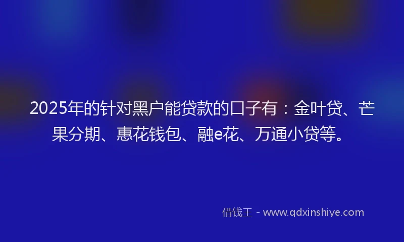 2025年的针对黑户能贷款的口子有：金叶贷、芒果分期、惠花钱包、融e花、万通小贷等。