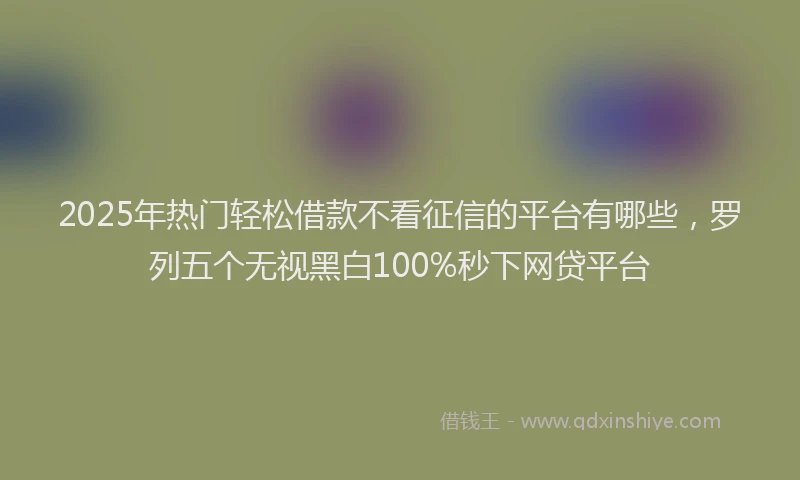 2025年热门轻松借款不看征信的平台有哪些，罗列五个无视黑白100%秒下网贷平台