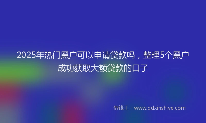 2025年热门黑户可以申请贷款吗，整理5个黑户成功获取大额贷款的口子
