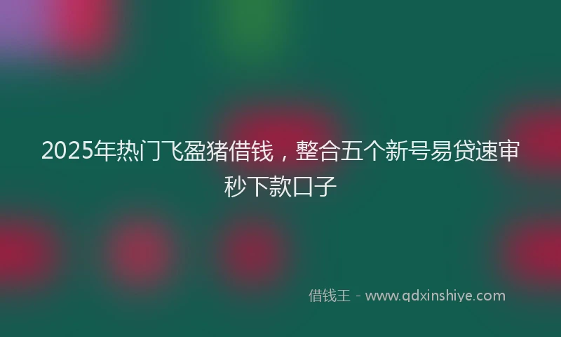 2025年热门飞盈猪借钱，整合五个新号易贷速审秒下款口子