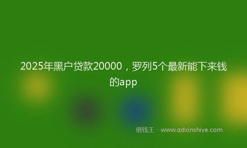 2025年黑户贷款20000，罗列5个最新能下来钱的app