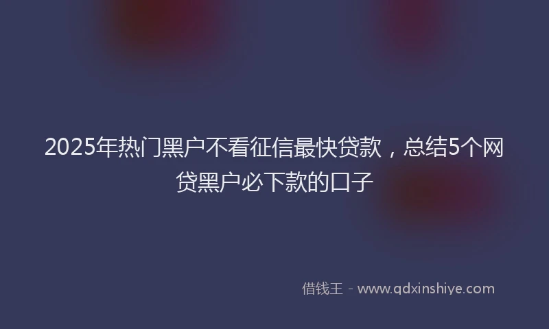 2025年热门黑户不看征信最快贷款，总结5个网贷黑户必下款的口子