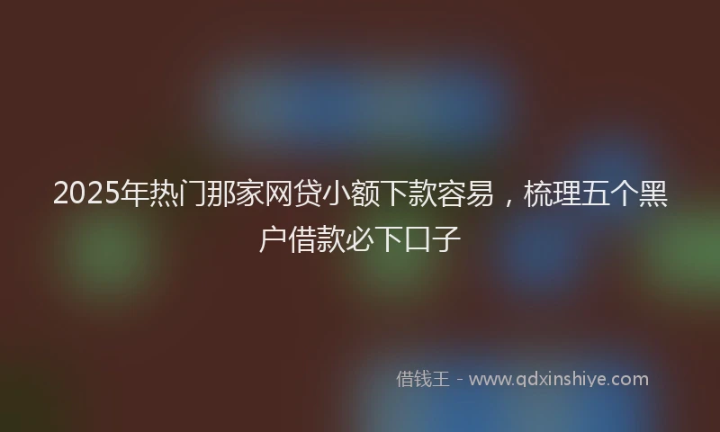 2025年热门那家网贷小额下款容易，梳理五个黑户借款必下口子