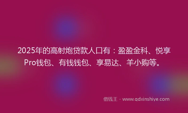 2025年的高射炮贷款人口有：盈盈金科、悦享Pro钱包、有钱钱包、享易达、羊小购等。