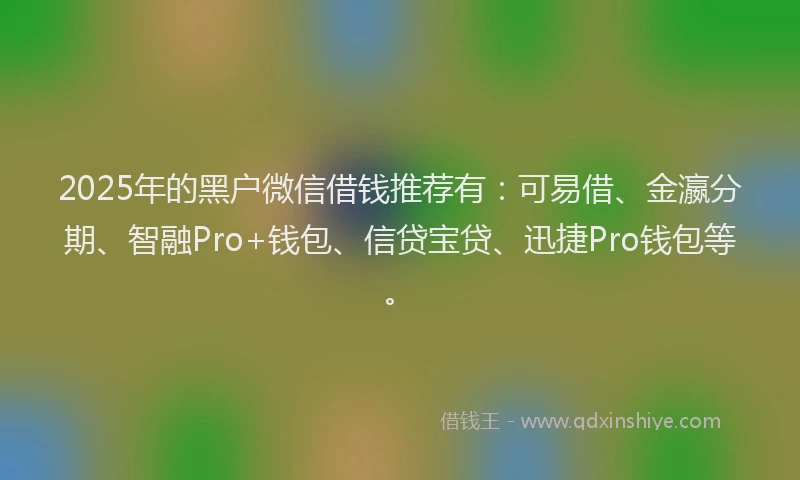 2025年的黑户微信借钱推荐有：可易借、金瀛分期、智融Pro+钱包、信贷宝贷、迅捷Pro钱包等。