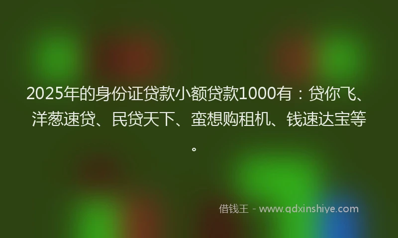 2025年的身份证贷款小额贷款1000有：贷你飞、洋葱速贷、民贷天下、蛮想购租机、钱速达宝等。
