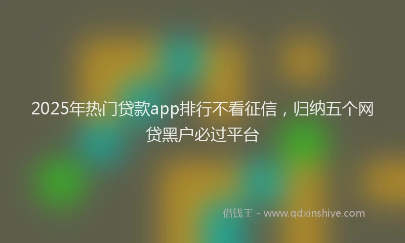 2025年热门贷款app排行不看征信，归纳五个网贷黑户必过平台