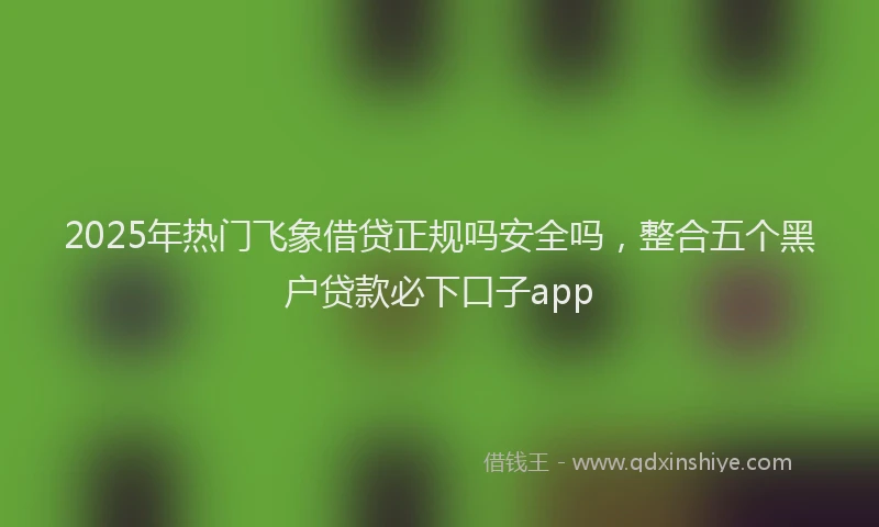2025年热门飞象借贷正规吗安全吗，整合五个黑户贷款必下口子app