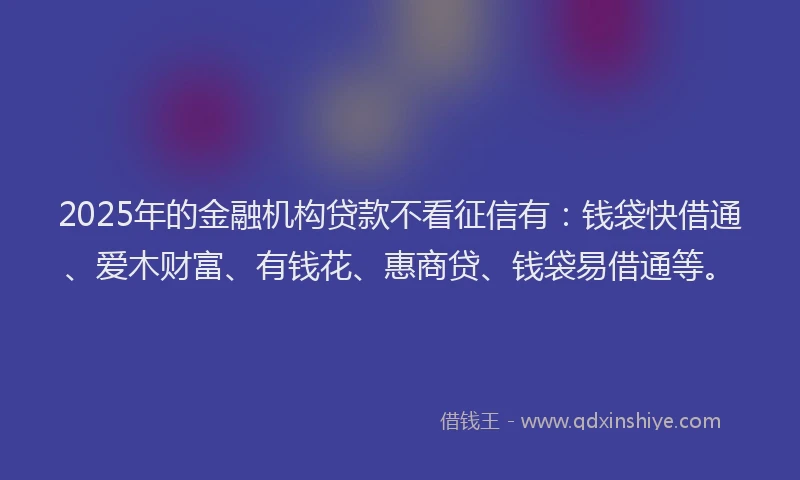 2025年的金融机构贷款不看征信有：钱袋快借通、爱木财富、有钱花、惠商贷、钱袋易借通等。