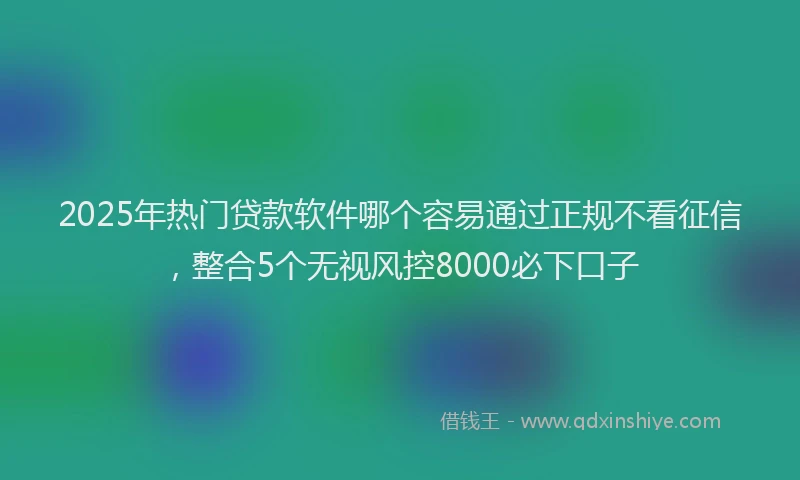 2025年热门贷款软件哪个容易通过正规不看征信，整合5个无视风控8000必下口子