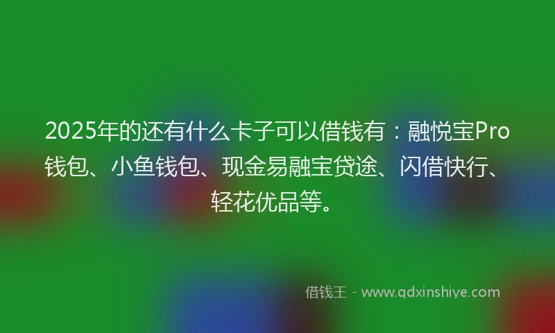 2025年的还有什么卡子可以借钱有：融悦宝Pro钱包、小鱼钱包、现金易融宝贷途、闪借快行、轻花优品等。