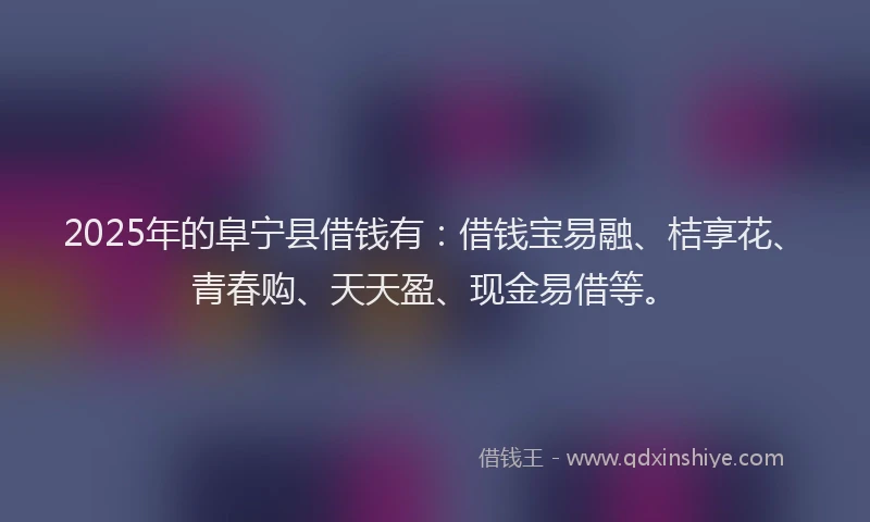 2025年的阜宁县借钱有：借钱宝易融、桔享花、青春购、天天盈、现金易借等。