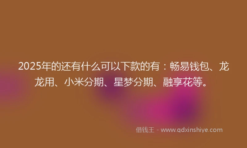 2025年的还有什么可以下款的有：畅易钱包、龙龙用、小米分期、星梦分期、融享花等。