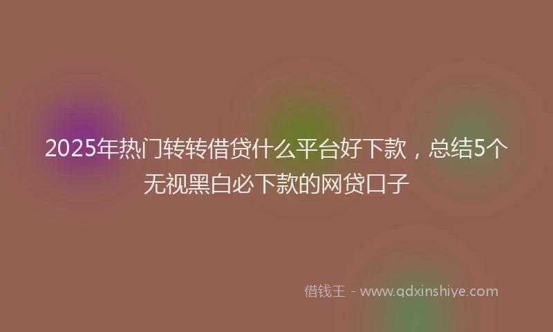 2025年热门转转借贷什么平台好下款，总结5个无视黑白必下款的网贷口子
